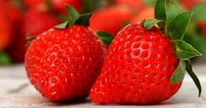 /fileadmin/_processed_/0/4/csm_WOB_ER_Stralsund_Erbeeren_c162685d01.jpg