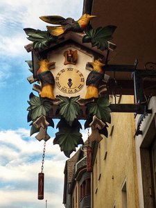 /fileadmin/_processed_/3/b/csm_WF_ER_Schwarzwald_05_d1eee00871.jpg