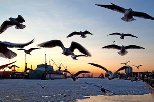 /fileadmin/_processed_/4/2/csm_BS_JR_Cuxhaven_1_03_9b45821e39.jpg
