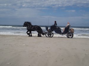 /fileadmin/_processed_/a/9/csm_PB_ER_Juist_2_pixelio_Andreas_Walgenbach_02_4b5d02a9f8.jpg